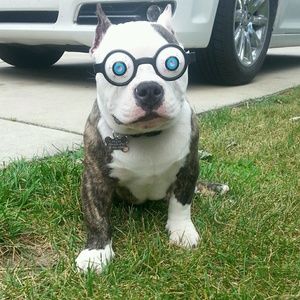 Meet your Posher, Charles